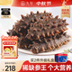 久年 4星級大連即食海參禮盒 遼參開袋即食 海鮮水產(chǎn)中秋禮物品送長輩 500g 6-9頭 袋裝