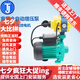 威樂（WILO）德國威樂水泵PUN-200EAH家用全自動加壓泵增壓泵穩(wěn)壓泵PUN-201EH PUN-201EH全自動型
