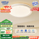 歐普（OPPLE）48瓦吸頂燈客廳臥室燈簡約護(hù)眼智控調(diào)光LED燈具18㎡品見III包安裝