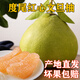 福建名果度尾紅心文旦柚蜜柚5斤試愛(ài)嘗鮮孕婦老人新鮮柚子老樹(shù)產(chǎn) 5-6斤驚喜嘗鮮( 特色禮盒箱打包)