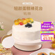 拜杰生日蛋糕裱花轉臺Diy烘焙工具10寸新手專(zhuān)用家用蛋糕轉臺