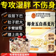 北京同仁堂五白谷物即食燕麥片官方旗艦店代餐飽腹糙米薏米白蕓豆青稞非無(wú)糖 1桶裝嘗鮮裝_貴在運費