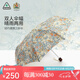 富爾頓英國進(jìn)口MORRIS金百合雨傘遮陽晴雨兩用七夕禮物送老婆女友紀(jì)念禮 Golden Lily