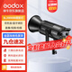 神牛（Godox）補光燈sl200biw雙色溫攝影常亮燈直播補光燈視頻直播補光燈直播人像拍照美顏柔光燈影視燈 SL200BI單燈 官方標配