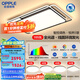 歐普（OPPLE）全光譜線面發(fā)光簡約現(xiàn)代超大吸頂燈北歐燈具APP語音智控 B6【四室一廳】