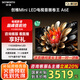 創(chuàng)維電視65A6E 65英寸內(nèi)置回音壁MiniLED  288Hz高刷 4K高清語音護(hù)眼液晶平板電視機(jī) 家電政府補(bǔ)貼20% 65英寸 電視一級能效 以舊換新 內(nèi)置回音壁MiniLED電視