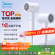 美的（Midea）1億負離子電吹風(fēng) 護發(fā)吹風(fēng)機 大功率吹風(fēng)筒 家電國家補貼 FJ208-極地白 1800W 節日/生日禮物推薦