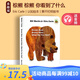 英文原版 Brown Bear Brown Bear What Do you see 棕熊你看到了什么 棕色的熊 Eric Carle 艾瑞卡爾 撕不爛紙板書(shū) 認(rèn)知繪本