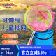 臻佑（Grsaed）兒童抄網(wǎng)套裝捕蝴蝶網(wǎng)昆蟲(chóng)撈小魚(yú)蝦網(wǎng)兜小孩撈魚(yú)網(wǎng)戶(hù)外折疊小水桶