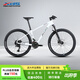 喜德盛（xds）山地車(chē)自行車(chē)25款傳奇500桶軸2*10速桶軸成人越野單車(chē) 幻影/白 20速 17寸架高（建議身高170-185）