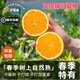 酷果匯湖北秭歸夏橙臍橙子新鮮現摘【順豐冷鏈直發(fā)】酸甜多汁榨汁水果 凈重5斤（果徑50MM+）