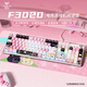 狼蛛（AULA）F3020機械鍵盤(pán)熱插拔有線(xiàn)電競游戲辦公電腦108鍵全鍵無(wú)沖RGB燈效自定義宏編程臺式機筆記本外設 小拽貓 青軸【聲音脆/手感佳】