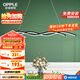 歐普（OPPLE）餐廳燈吊燈餐桌飯廳吧臺北歐創(chuàng)意極簡吊燈時尚簡約百搭迷迭黑