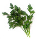 威廉農(nóng)場(chǎng)意大利芹 新鮮 歐芹巴西里 Parsley-flat leaf 