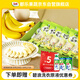 都樂Dole 菲律賓甜蕉2斤盒裝 香甜軟糯 生鮮水果 源頭直發(fā) 包郵 水果