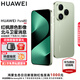 HUAWEI Pura 80 新品旗艦華為手機 p80 絲絨直屏 紅楓原色影像 鴻蒙AI 北斗衛星消息 華為鴻蒙智能手機 絲絨綠 12GB+512GB 官方標配