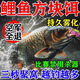 網(wǎng)中王釣鯉魚(yú)方塊餌料釣鯉魚(yú)鯽魚(yú)翻版鉤專(zhuān)用掛餌通殺薯香甜味腥香打窩料 單包裝【單包16塊】