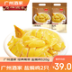 廣州酒家鹽焗雞/豉油雞520g  廣式正宗清遠雞 預制菜加熱即食懶人方便中秋 鹽焗雞520g（2只裝）