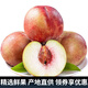 迭果山東青州蜜桃冬桃新鮮脆甜雪桃子映霜紅小毛桃子當(dāng)季水果 3斤