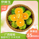 京鮮生 廣西蜜桔 凈重3斤 單果55mm+生鮮水果 源頭直發(fā)包郵