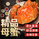 【活蟹】湖中秋色全母大閘蟹2.0-2.3兩8只 螃蟹鮮活現(xiàn)貨海鮮生鮮中秋送禮盒 源頭直發(fā)
