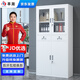 豐龍文件柜辦公柜鋼制鐵皮柜檔案柜辦公室資料柜憑證柜儲(chǔ)物柜中二斗柜