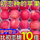 2025甘肅靜寧蘋(píng)果早熟紅富士脆甜多汁新蘋(píng)果新鮮水果當季現摘10斤 65mm(含)-70mm(不含) 5斤
