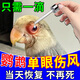 鸚鵡單眼傷風(fēng)藥一滴靈眼藥水滴眼液鳥(niǎo)鴿類(lèi)專(zhuān)用眼睛流淚紅腫衣原體 一瓶裝【鳥(niǎo)類(lèi)都能用】一滴就好