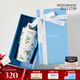 WEDGWOOD威基伍德陶瓷內(nèi)膽野草莓吸管杯592ml保冷杯保溫杯高顏值