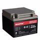 山特鉛酸蓄電池C12-100/12V26AH38AH65ah100AH直流屏UPSEPS免維護(hù) C12-26 12v26AH