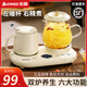 志高 全玻璃養(yǎng)生壺煮茶器燉煮一體煮茶壺?zé)畨仉p爐組合式全自動(dòng)花茶電煮杯辦公室迷你一人用養(yǎng)生杯 0.8L 全玻璃燉煮杯+0.4L陶瓷恒溫杯 【帶禮盒裝】雙爐智能款