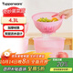 特百惠（Tupperware）奇妙果菜籃4.3L瀝水洗菜籃多功能保鮮盒食品級冰箱收納盒發(fā)面碗