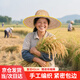漫德萊夏季農(nóng)用大草帽沙灘戶外遮陽(yáng)防曬工地帽大沿包邊麥稈竹編帽42cm