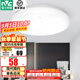雷士（NVC）陽臺燈臥室燈吸頂燈燈具燈飾廚房燈LED照明燈現(xiàn)代簡約燈飾衛(wèi)生間 24W 極簡單色白光（直徑38.5cm）