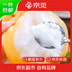 京覓碭山圓黃梨 凈重3斤 4-6枚 單果300g+ 新鮮水果雪梨 源頭直發(fā)包郵