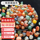 悠梵萌南京雨花石魚缸造景石鵝卵石小粒彩色天然瑪瑙五彩石5-15mm500克