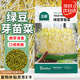 北蔬 綠豆芽苗菜種子種苗家庭水培無土栽培菜種籽 綠豆芽苗菜種子200g