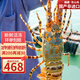 攜宴福建東山縣發(fā)貨活凍大花龍蝦錦繡花龍蝦大青龍蝦中秋禮盒送禮 大花龍蝦2.5-3斤/只