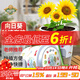 德沃多肥料向日葵種子DIY兒童趣味種植盆栽套裝小學(xué)植物觀(guān)察幼兒園六一