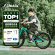 Nabiis那貝斯兒童自行車(chē)6-7-10-12歲鋁合金超輕青少年學(xué)生單車(chē)20寸高綠