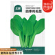 北蔬 雞毛菜種子苗速生小青菜陽(yáng)臺種秋四季菜籽 四季雞毛菜種子4000粒