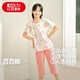 紅豆兒童睡衣純棉夏季薄款空調服男女童短袖套裝中大童家居服3338 165