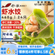 船歌魚水餃 蝦水餃460g/袋 24只 健康早餐夜宵 海鮮手工速凍餃子 生鮮速食