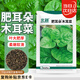 北蔬 木耳菜種子種苗大葉子爬藤秋四季蔬菜種籽 肥耳朵木耳菜種子15g