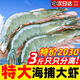 勛勛之海厄瓜多爾白蝦海捕大蝦鮮活速凍特大號(hào)2030南美白對(duì)蝦非青島基圍蝦 特大蝦皇 3斤(凈重)  【只只分離】