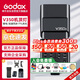 神牛（Godox）V350-S索尼微單相機高速同步閃光燈外置TTL便攜鋰電池?zé)嵫C頂閃光燈 （索尼版）