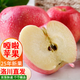 洛川蘋果陜西時(shí)令蘋果水果紅富士蘋果禮盒裝水果生鮮蘋果新鮮脆甜蘋果 【25年新果】15枚70mm嘎啦蘋果
