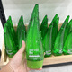 名蔻蘆薈原汁護膚品套裝化妝品補水保濕凝露蘆薈膠鎖水水潤啫喱男女 蘆薈啫喱250ml