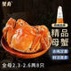 【活蟹】蟹爵大閘蟹全母2.3-2.6兩8只鮮活螃蟹現(xiàn)貨生鮮海鮮禮盒