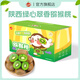 自然搭檔[催熟后食用]陜西翠香綠心獼猴桃新鮮水果孕婦時(shí)令生鮮奇異果 15枚中果（單果60-80g）